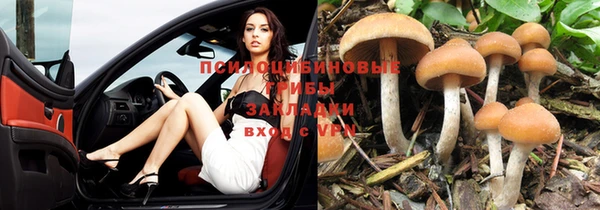 бошки Иннополис