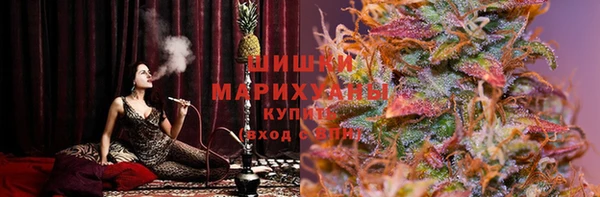 бошки Иннополис