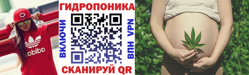 Марихуана VHQ  Купить закладки  Колпашево 